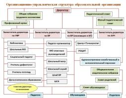 Организационно-управленческая структура